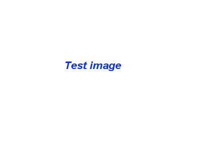 TEST WEB